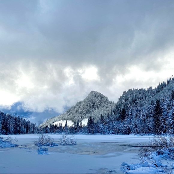 Meet your Posher, Alex-andra - Picture 5 of 12